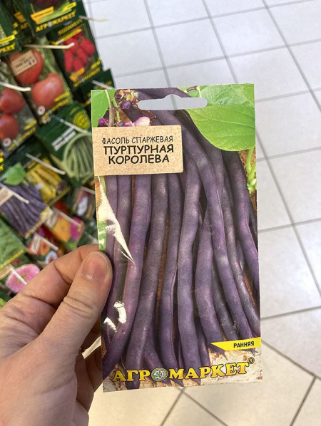 фасоль спаржевая Пурпурная королева (фиолетовая)